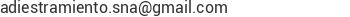 Correo electr&oacute;nico de Sistema Nacional de Adiestramiento 
