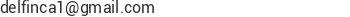 Correo electr&oacute;nico de Delfin Internacional C. A.