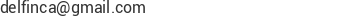 Correo electr&oacute;nico de Delfin Internacional C. A.