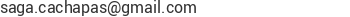 Correo electr&oacute;nico de SAGA Cachapas