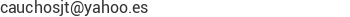 Correo electr&oacute;nico de CAUCHOSJT C.A.