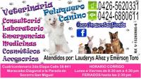 Veterinaria Peluquero Canino