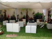 Caracas eventos